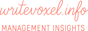 writevoxel.info